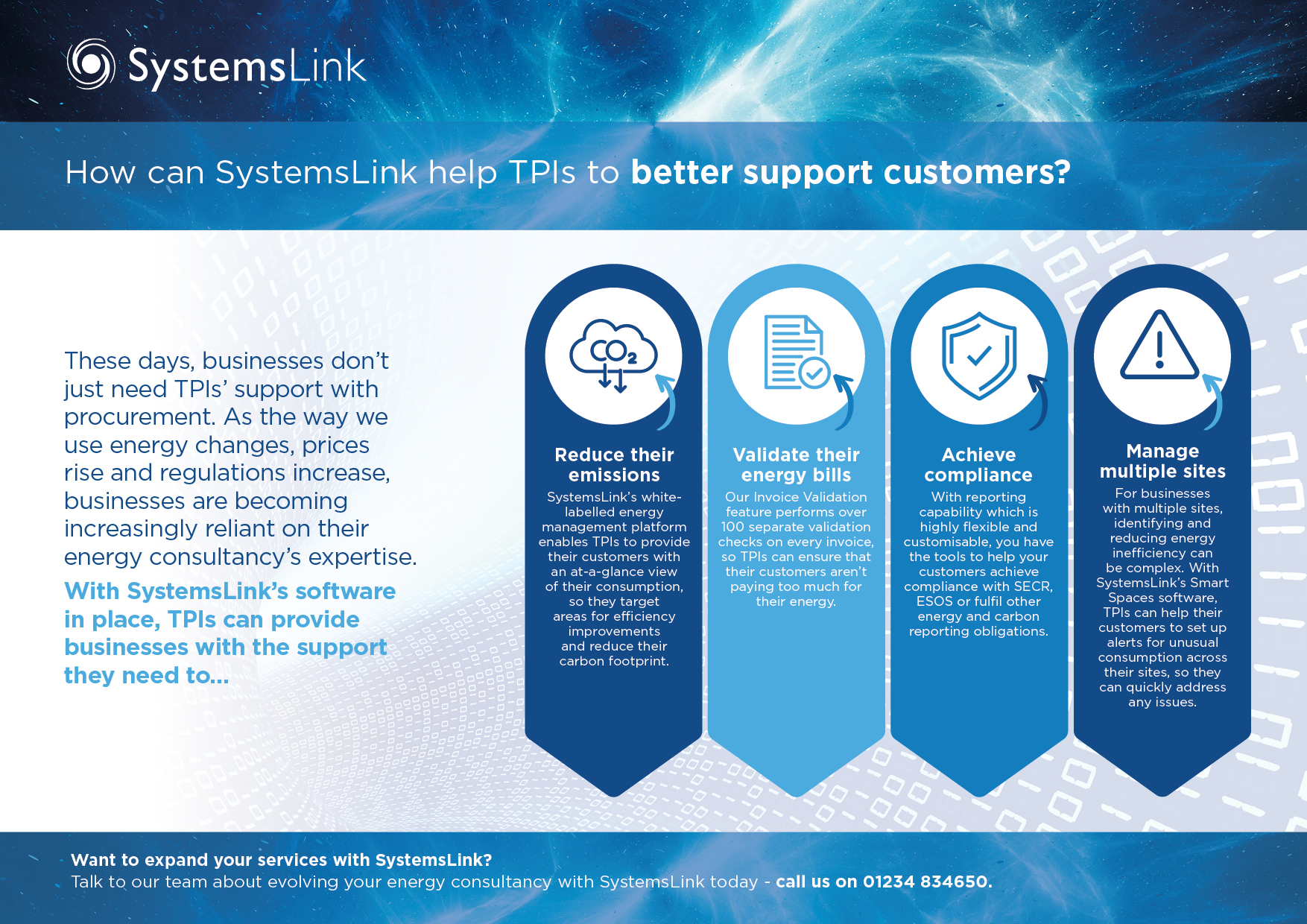 How can SystemsLink help TPIs to better support customers?