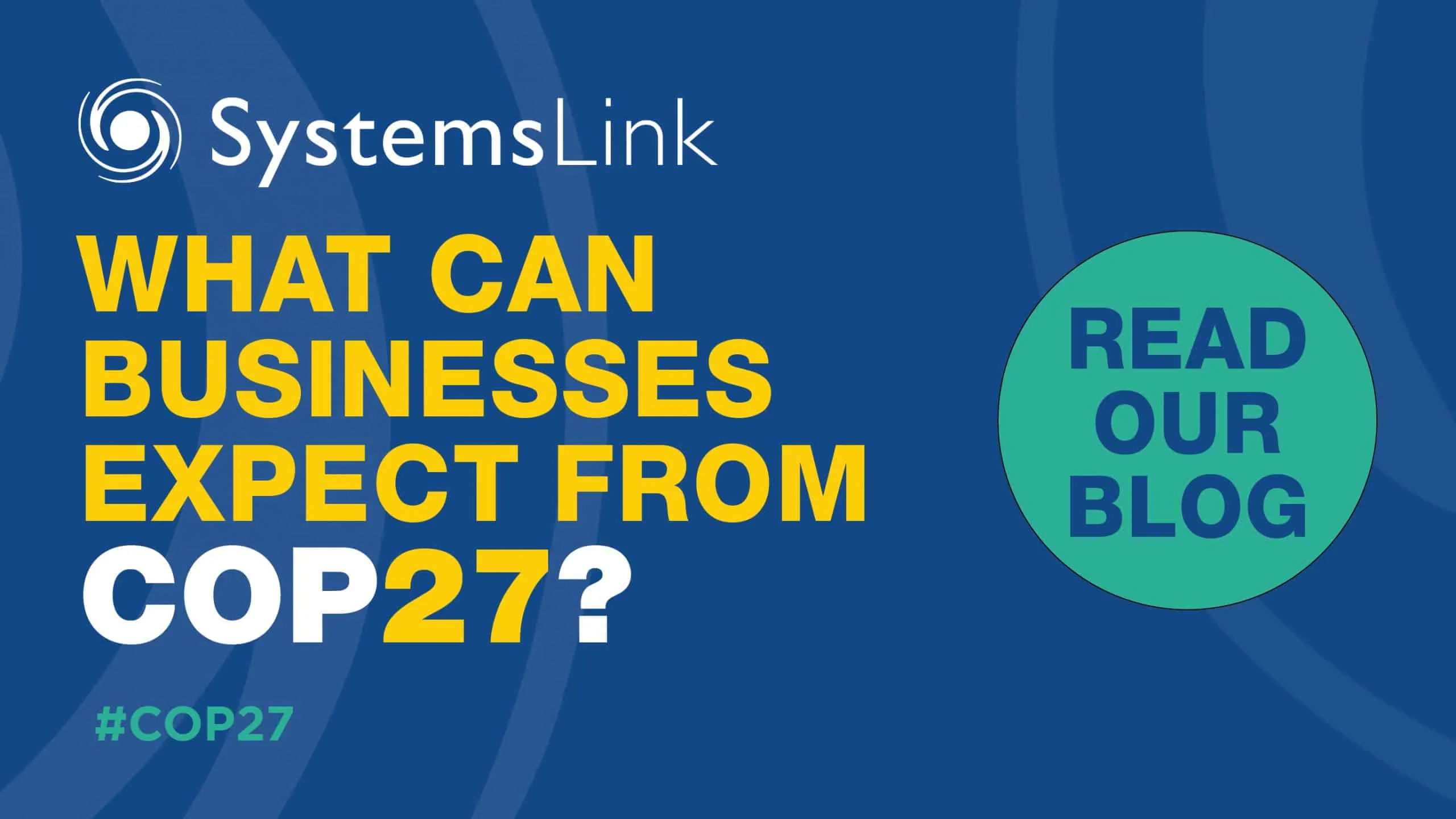 What can businesses expect from COP27?