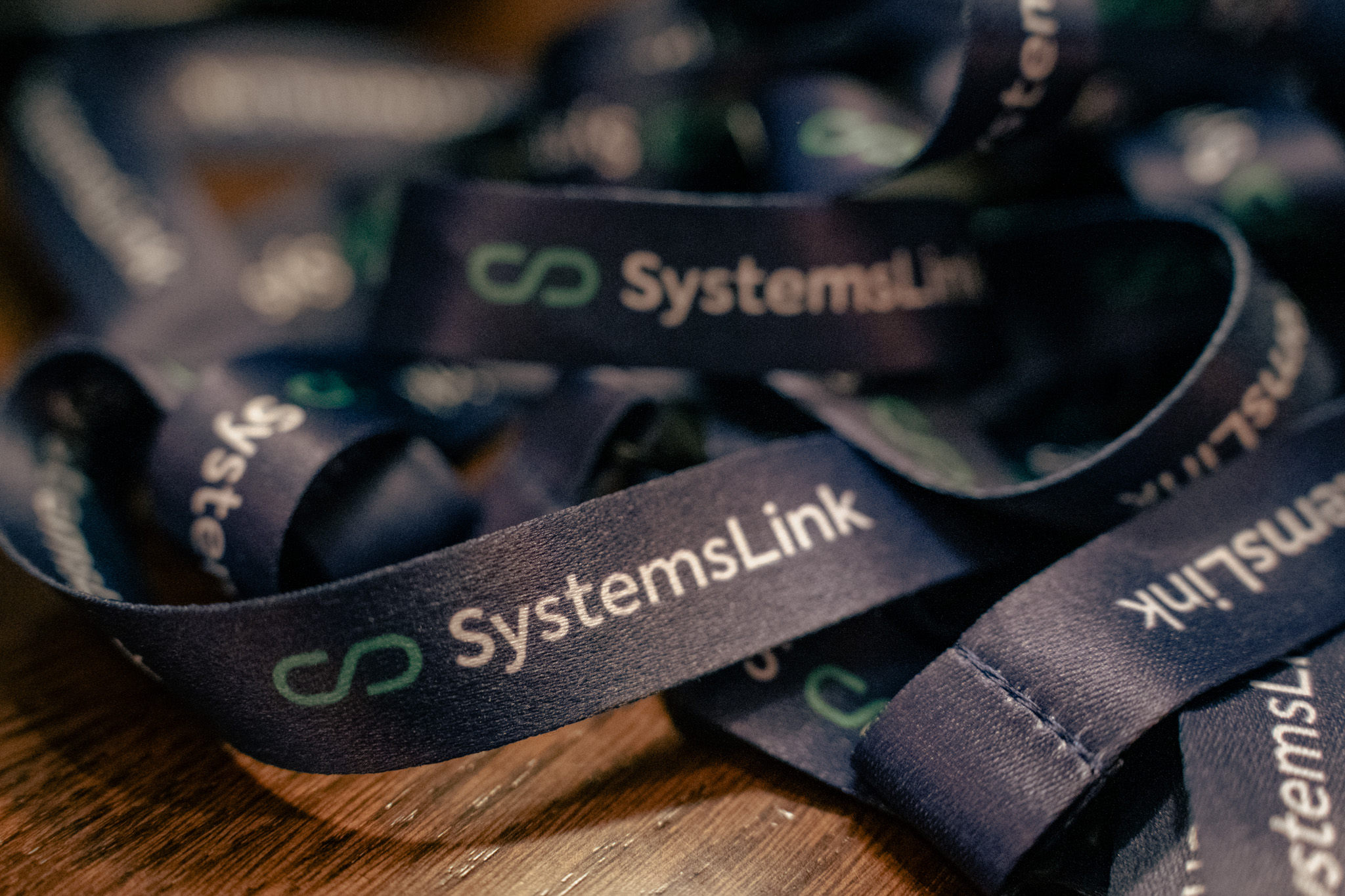 systemslink lanyard