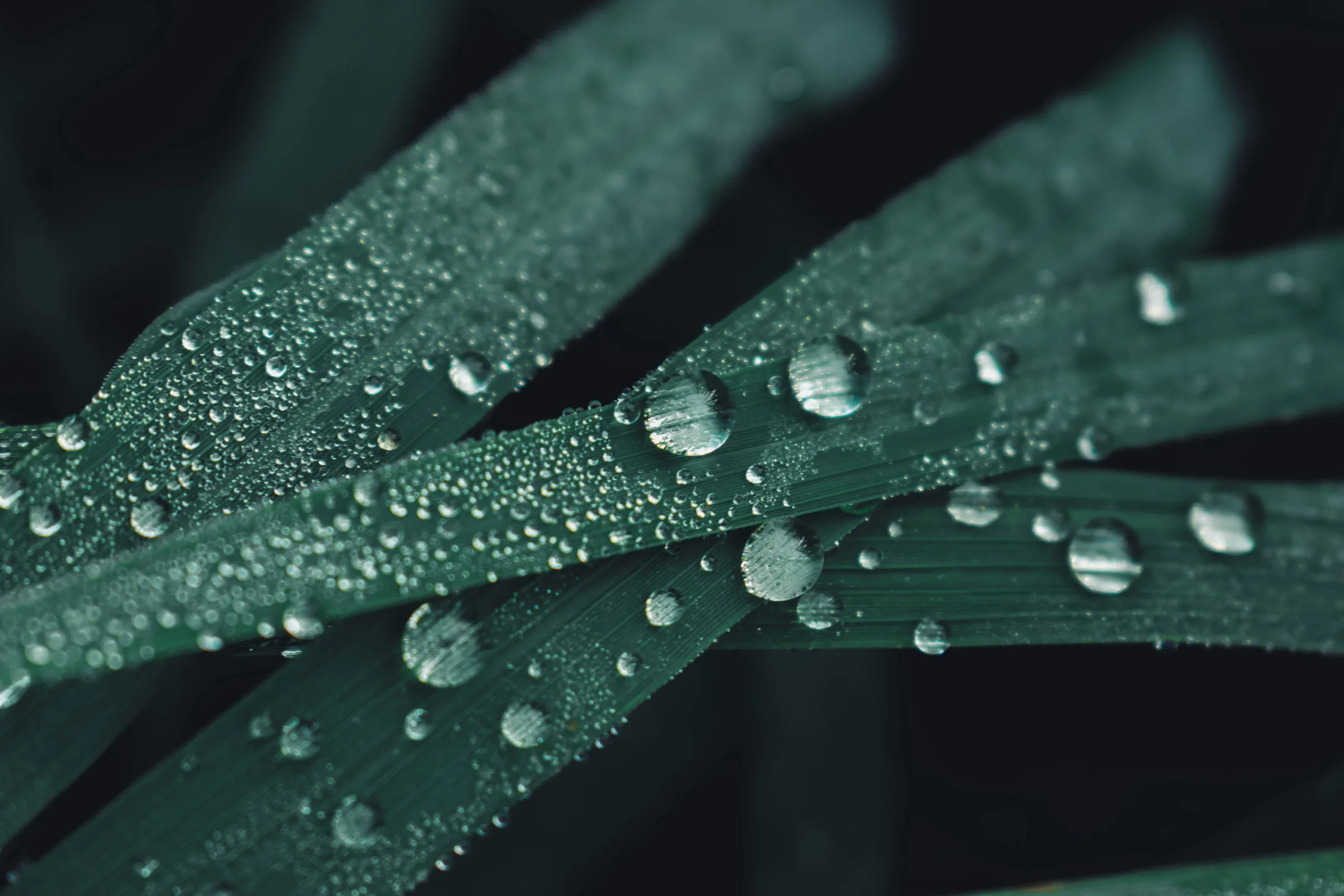 Carbon Reporting Software