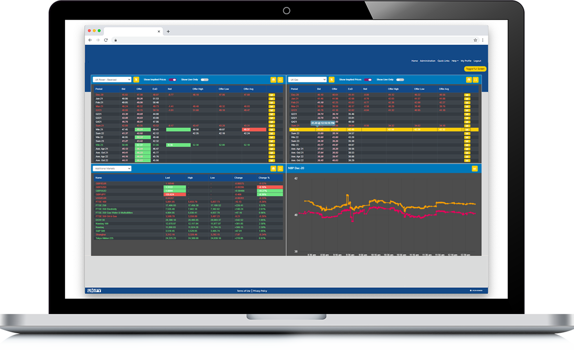 Energy Market Insights - laptop mock up